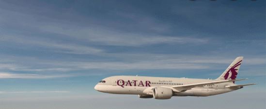 2022 Katar Pilot Maaşı